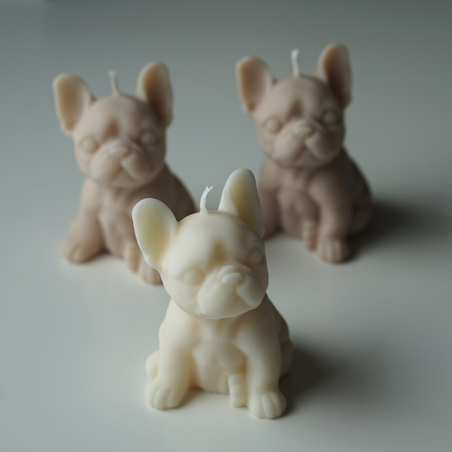 Französische Bulldogge Kerze