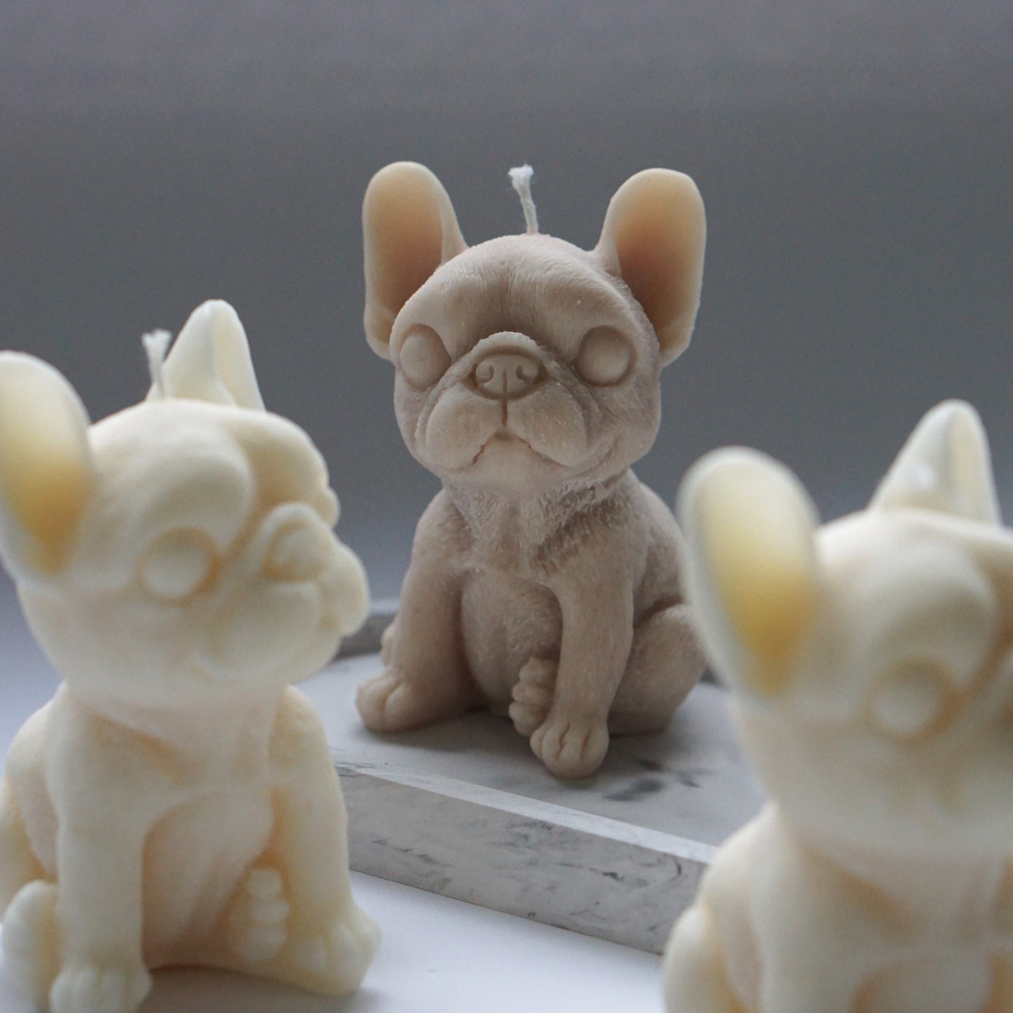 Französische Bulldogge Kerze