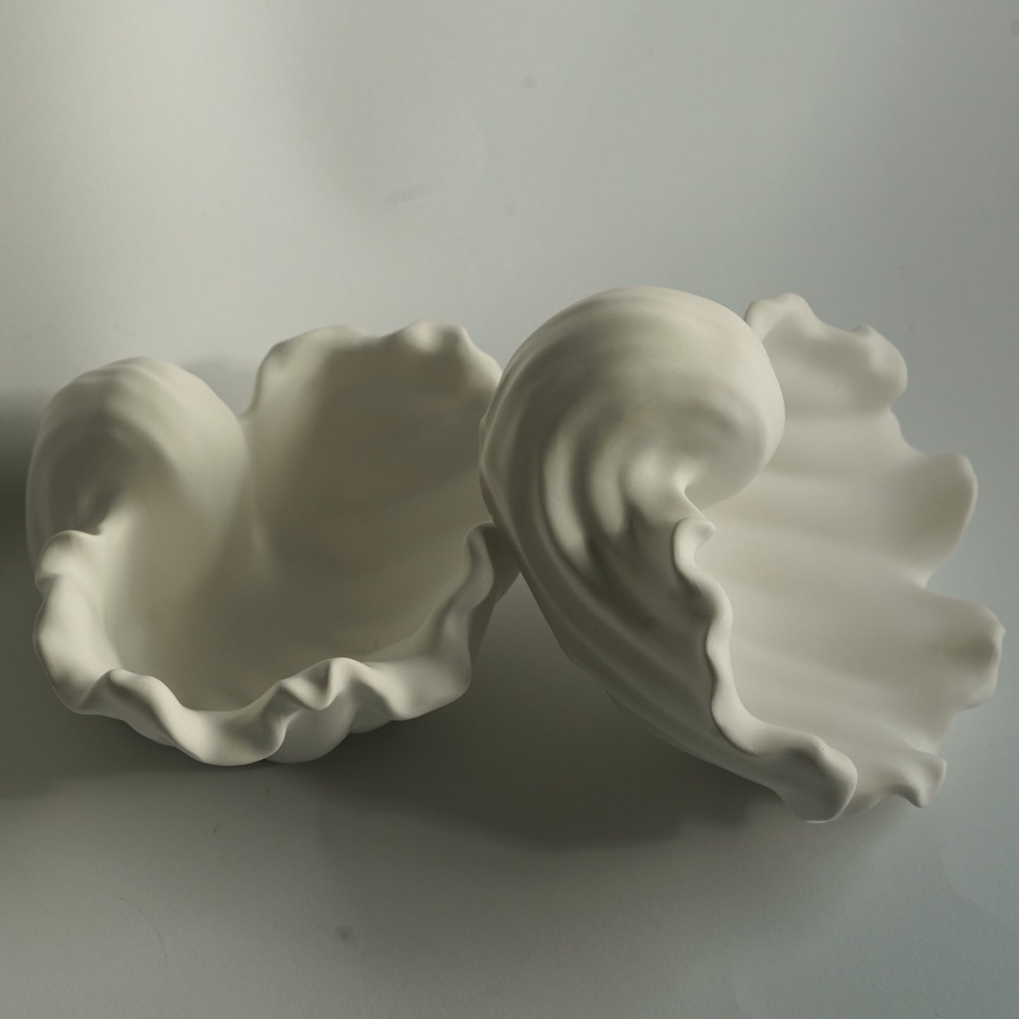 Ästhetische Muschelschale