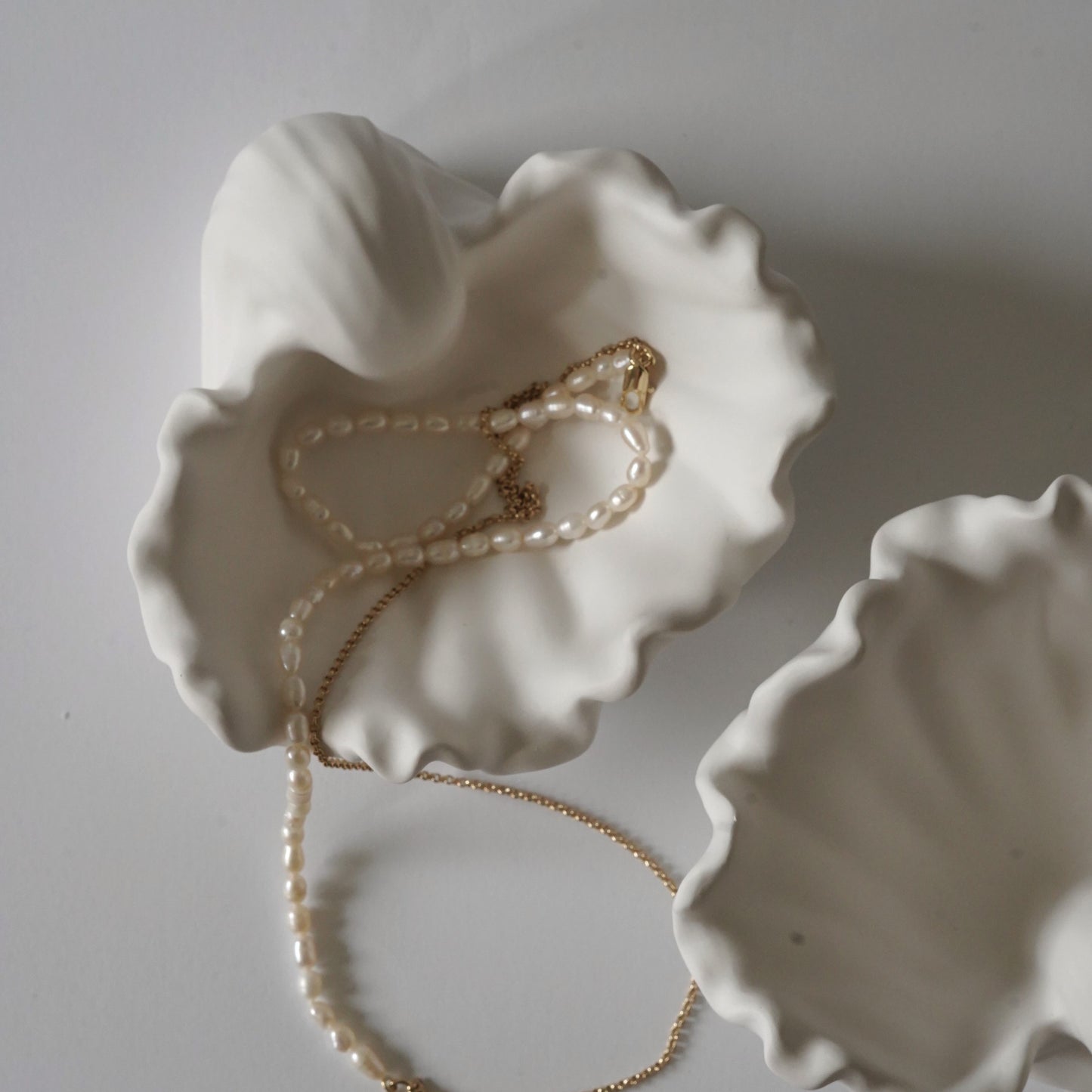 Ästhetische Muschelschale