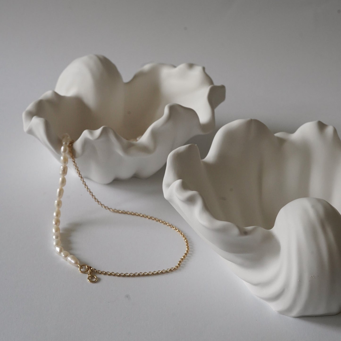 Ästhetische Muschelschale