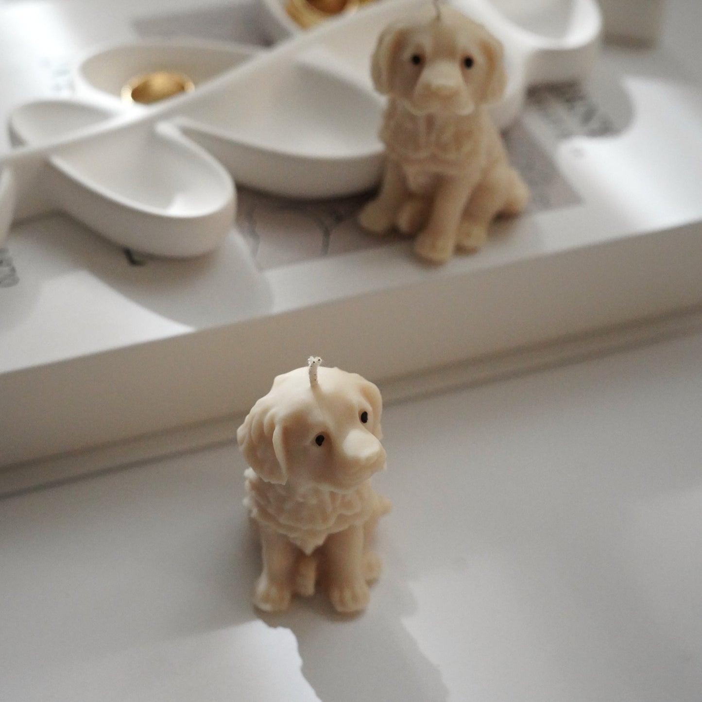 Hund Kerze | Golden Retriever