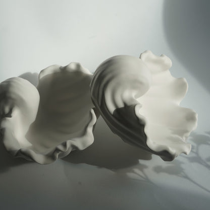 Ästhetische Muschelschale