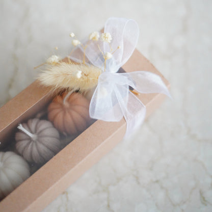 Kürbis Geschenkset 5-teilig