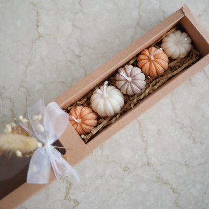 Kürbis Geschenkset 5-teilig