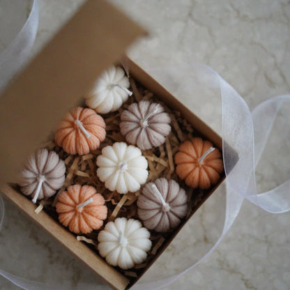 Kürbis Geschenkset 9-teilig