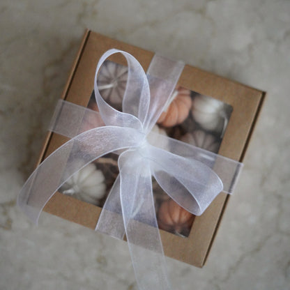 Kürbis Geschenkset 9-teilig