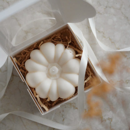 Kürbis Geschenkset