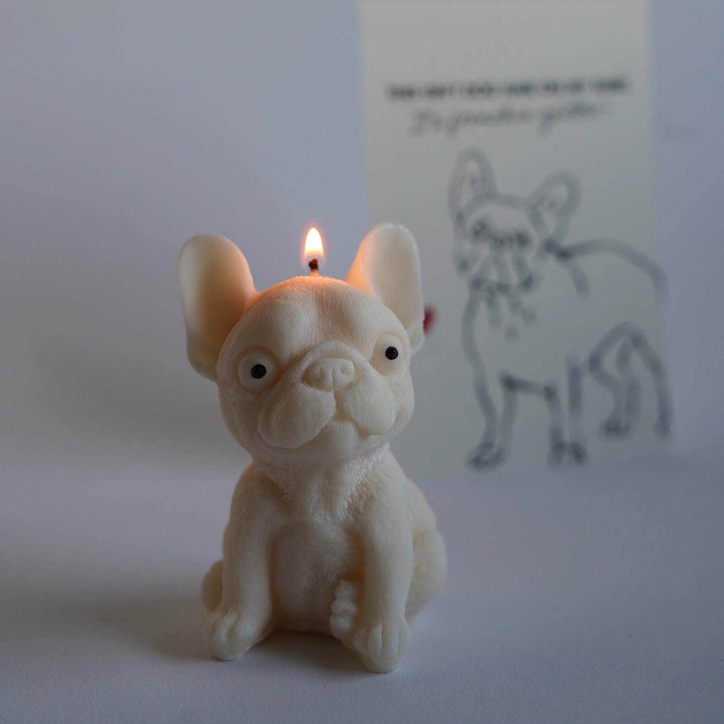 Französische Bulldogge Set