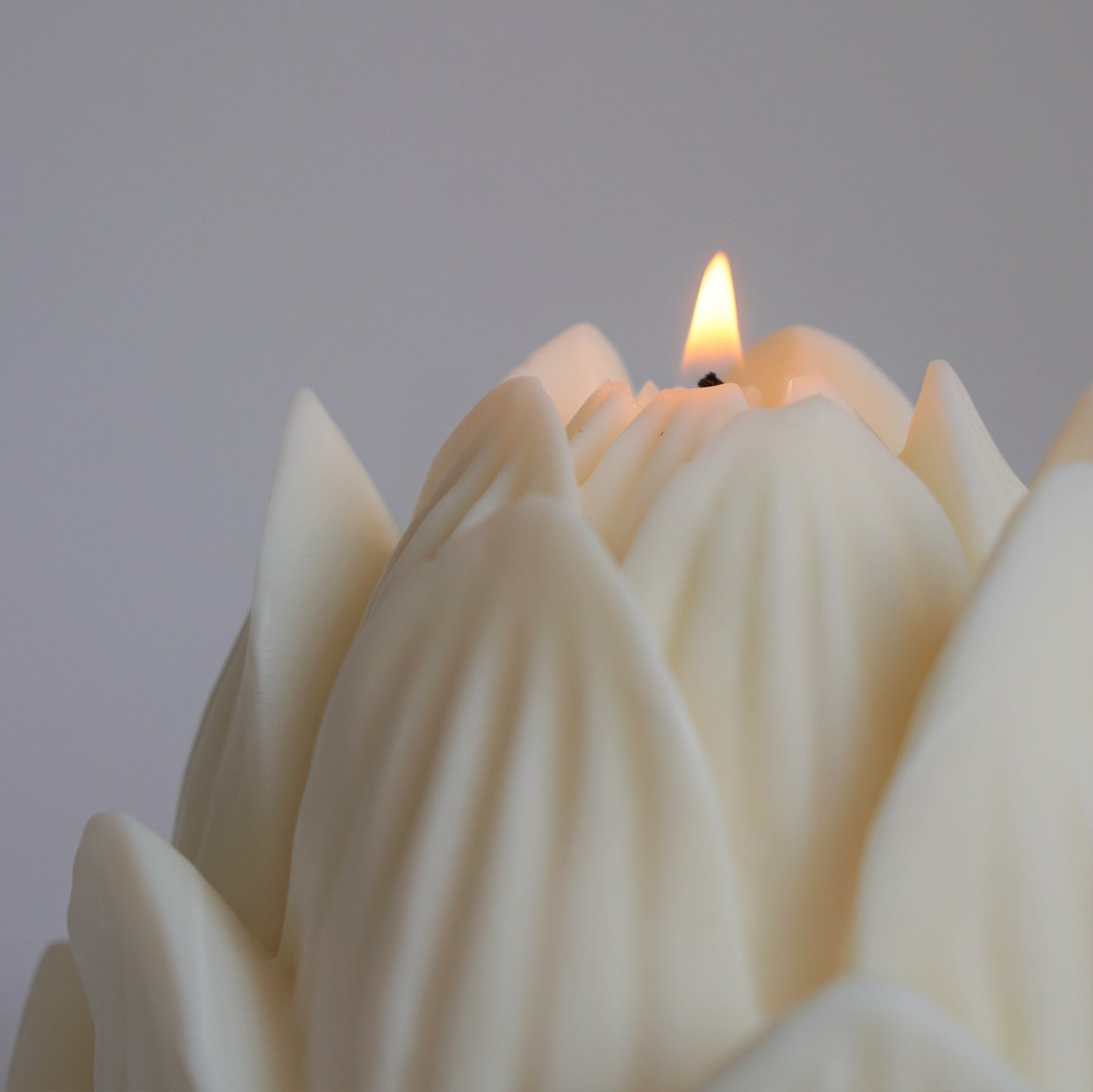 Lotusblumen Kerze