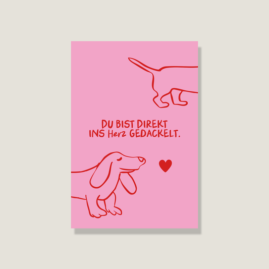 Postkarte "Dackel"
